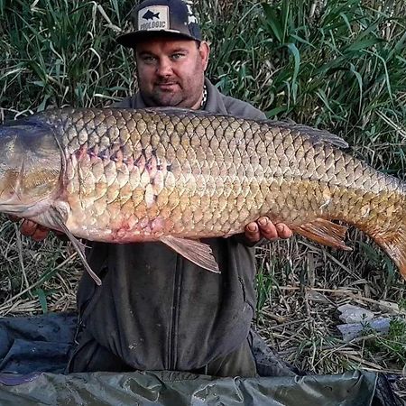 R U Ready Fishing, River Ebro เมกิเนนซา ภายนอก รูปภาพ