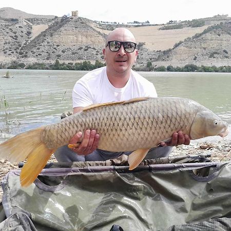 R U Ready Fishing, River Ebro เมกิเนนซา ภายนอก รูปภาพ