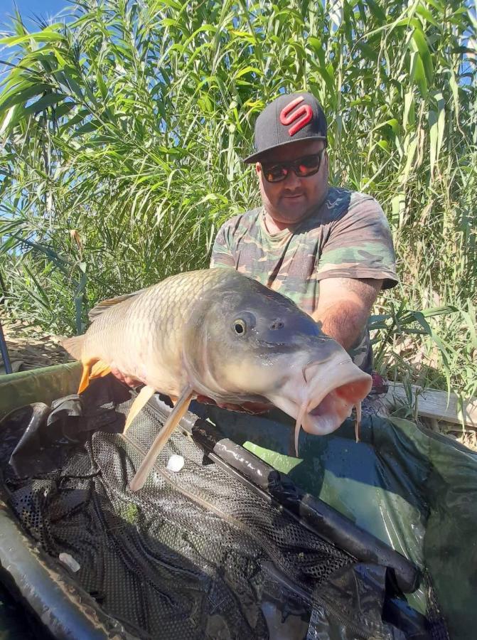 R U Ready Fishing, River Ebro เมกิเนนซา ภายนอก รูปภาพ
