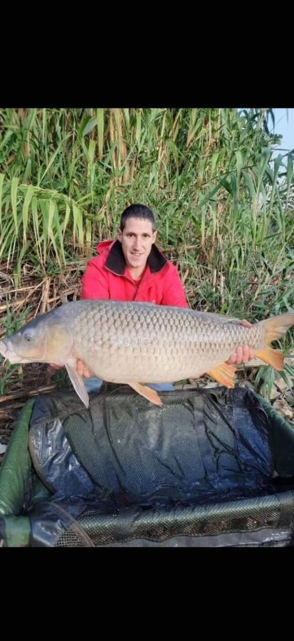 R U Ready Fishing, River Ebro เมกิเนนซา ภายนอก รูปภาพ