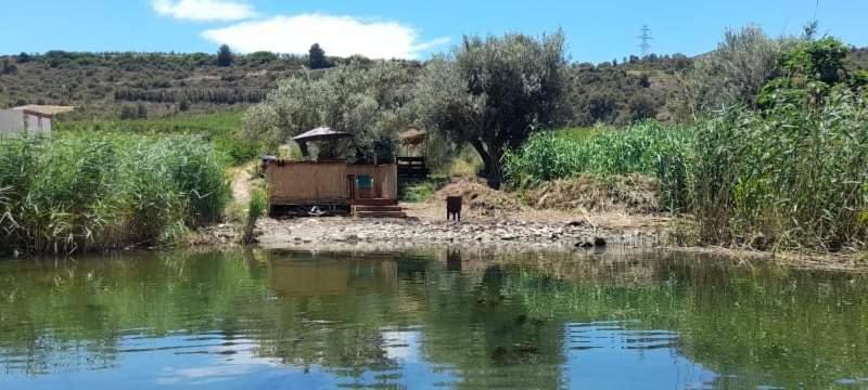 R U Ready Fishing, River Ebro เมกิเนนซา ภายนอก รูปภาพ