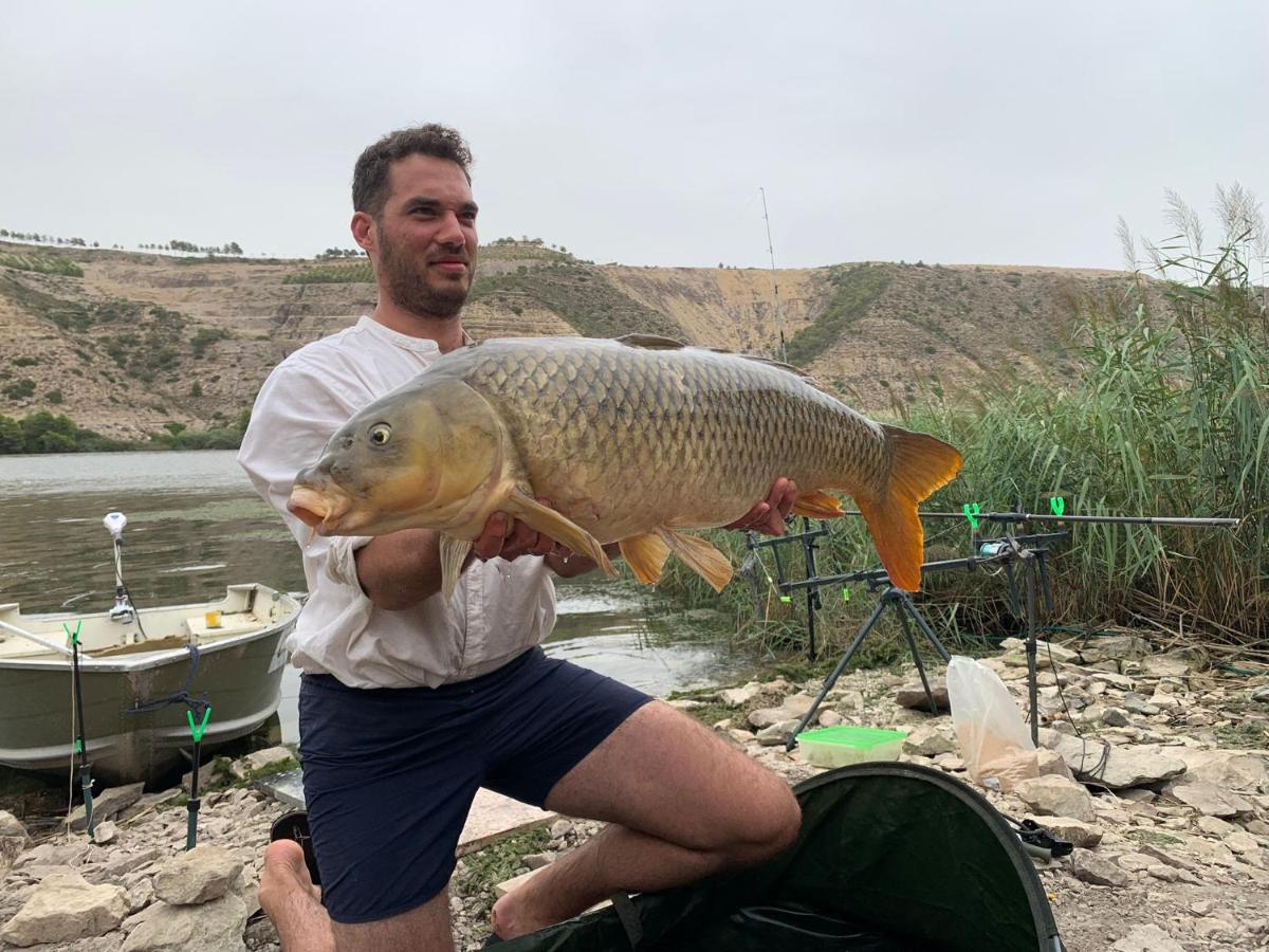 R U Ready Fishing, River Ebro เมกิเนนซา ภายนอก รูปภาพ