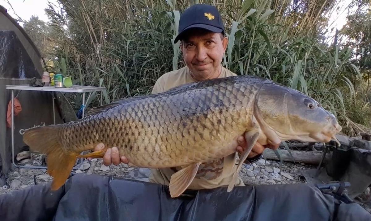 R U Ready Fishing, River Ebro เมกิเนนซา ภายนอก รูปภาพ